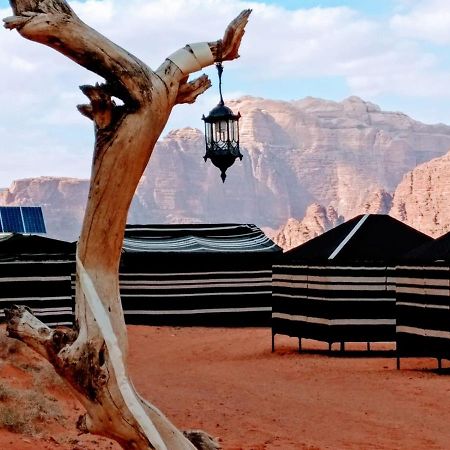 Desert Tree Camp&Tours Wadi Rum Exterior foto