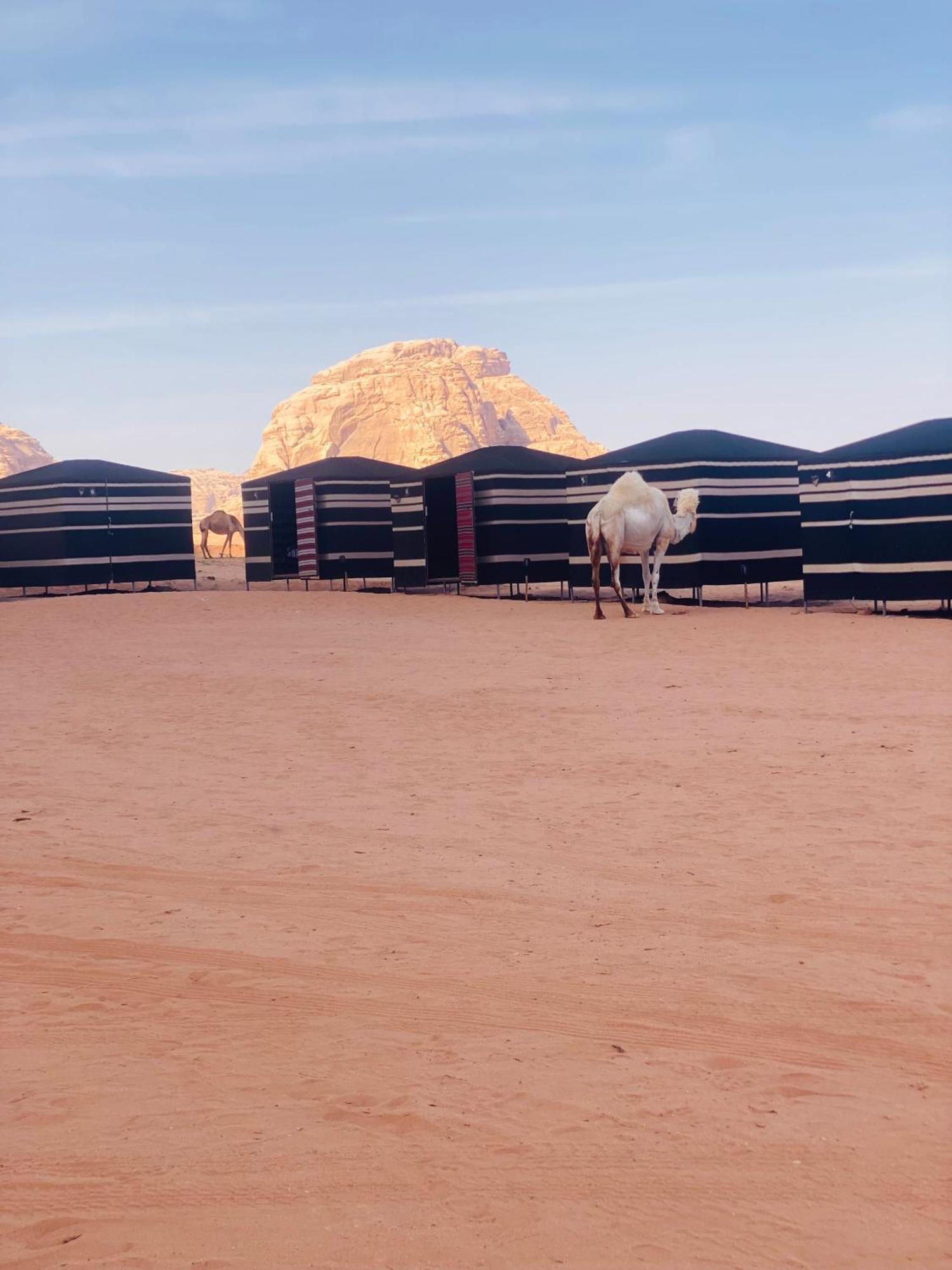 Desert Tree Camp&Tours Wadi Rum Exterior foto